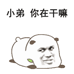 小弟你在干嘛（小弟你在干嘛）
