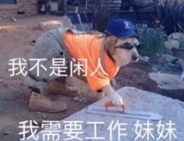 我不是闲人我需要工作妹妹（我不是闲人我需要工作妹妹）