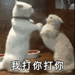我打你打你（我打你打你）