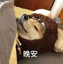 晚安（晚安）