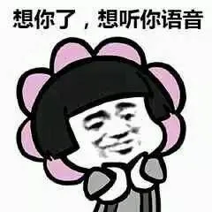 想你了，想听你语音（想你了，想听你语音）