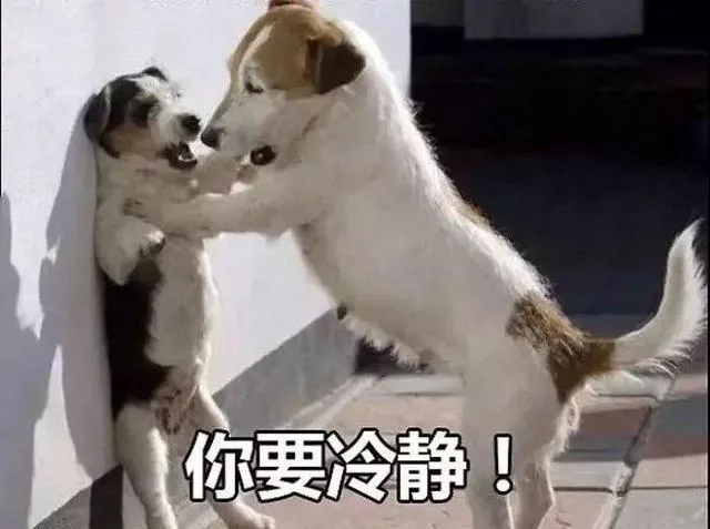 你要冷净！（你要冷净！）