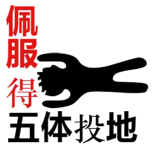 佩服的五体投地（佩服的五体投地）