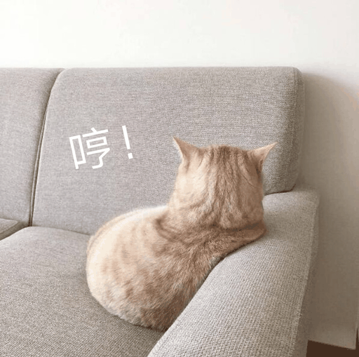 哼！（小猫）（哼！（小猫））