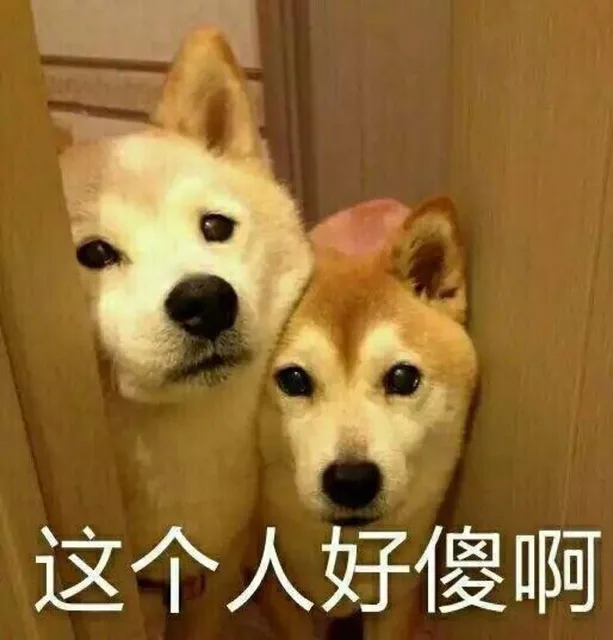 这个人好傻啊（这个人好傻啊）