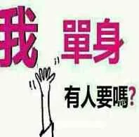 我單身有人要嗎？（我單身有人要嗎？）