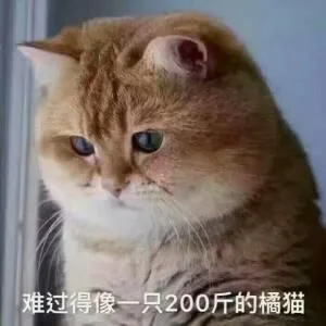 难过得像一只200斤的橘猫（难过得像一只200斤的橘猫）