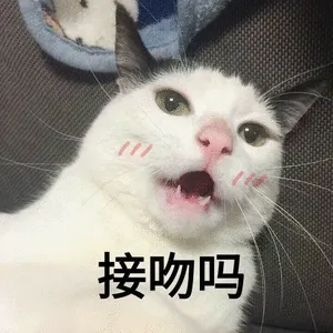 接吻吗（接吻吗）