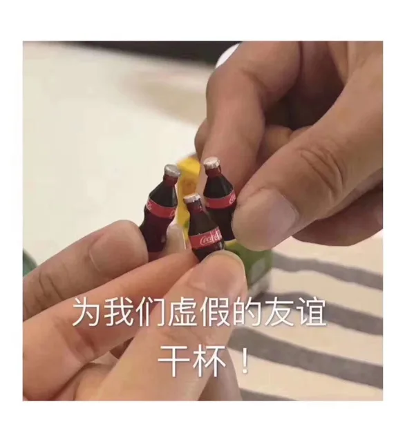 为我们虚假的友谊干杯（为我们虚假的友谊干杯）