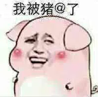 我被猪@了（红猪）（我被猪@了（红猪））