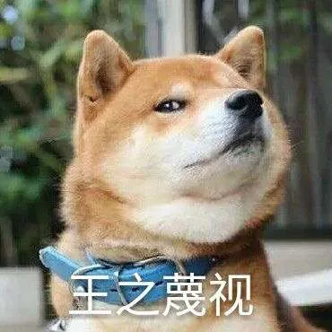 王之蔑视（王之蔑视）