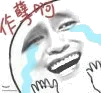 作孽啊（金馆长）（作孽啊（金馆长））