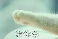 给你牵（给你牵）