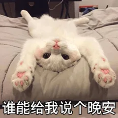 谁能给我说个晚安（谁能给我说个晚安）