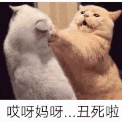 哎呀妈呀..丑死啦（哎呀妈呀..丑死啦）