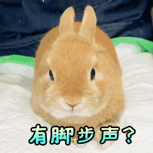 有脚步声（有脚步声）