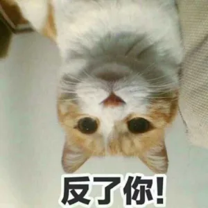 反了你!（反了你!）