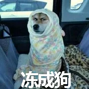 冻成狗（冻成狗）