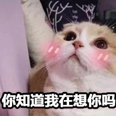 你知道我在想你吗（你知道我在想你吗）