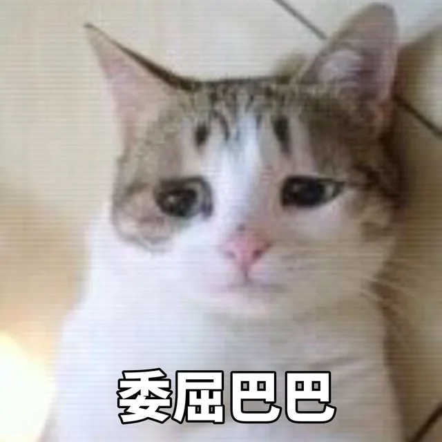 委曲巴巴（小猫）（委曲巴巴（小猫））