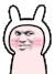兔子（兔子）