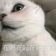 在吗在吗在吗（在吗在吗在吗）