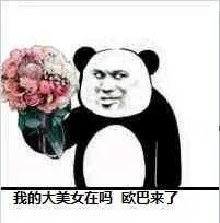 我的大美女在吗，欧巴来了（我的大美女在吗，欧巴来了）