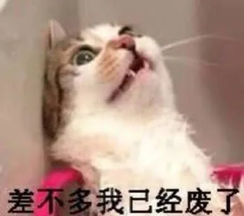 差不多我已经废了（差不多我已经废了）