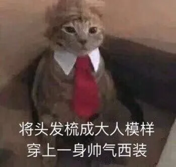 将头发梳成大人模样，穿上一身帅气西装（将头发梳成大人模样，穿上一身帅气西装）