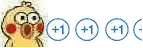 +1（+1）