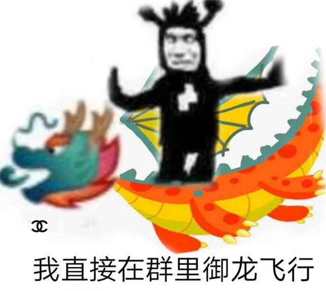 我直接在群里御龙飞行（我直接在群里御龙飞行）