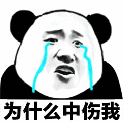 为什么中伤我（为什么中伤我）