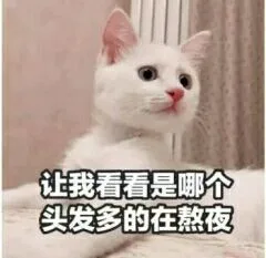 让我看看是哪个铁发多的在熬夜（让我看看是哪个铁发多的在熬夜）