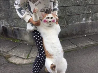 小猫教皇（小猫教皇）