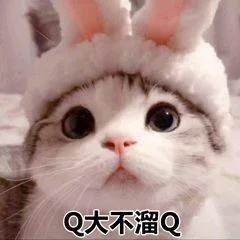 Q大不溜Q（Q大不溜Q）