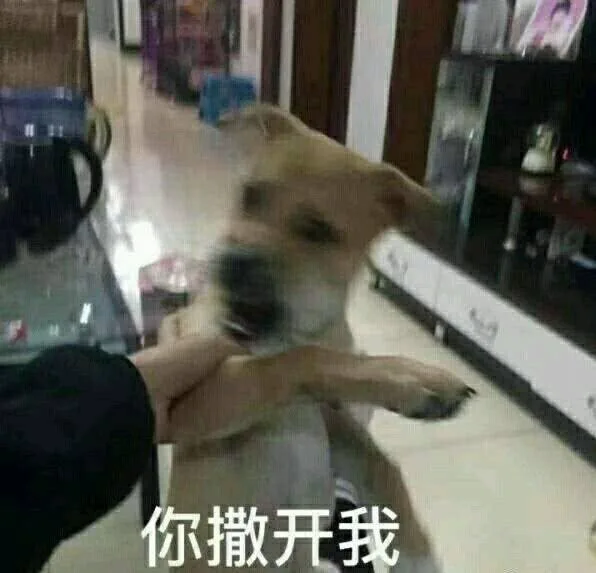 你撒开我（你撒开我）
