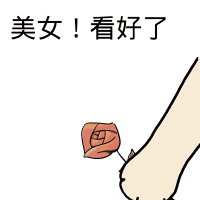 美女，看好了！（一朵小花送给你）（美女，看好了！（一朵小花送给你））