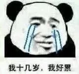 我十几岁，我好累（我十几岁，我好累）