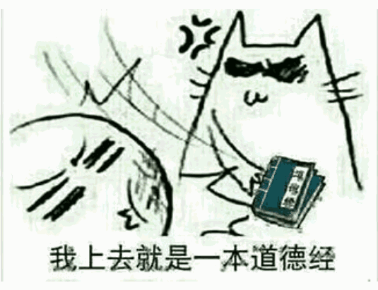 我上去就是一本道德经（我上去就是一本道德经）