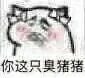 你这只臭猪猪（你这只臭猪猪）