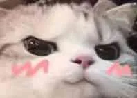 不开心（不开心）