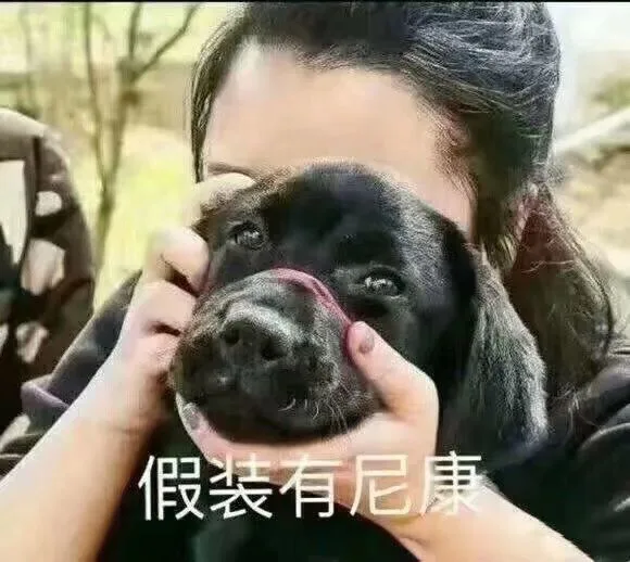 假装有尼康（假装有尼康）