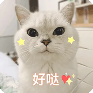 好哒（好哒）