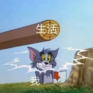 我和生活（我和生活）