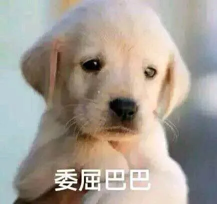 委屈巴巴（委屈巴巴）