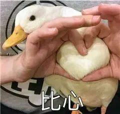 比心（比心）