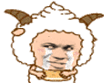 喜羊羊哭了（喜羊羊哭了）