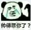 帅得罪你了?（帅得罪你了?）