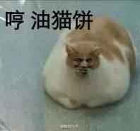 哼，油猫饼！（哼，油猫饼！）
