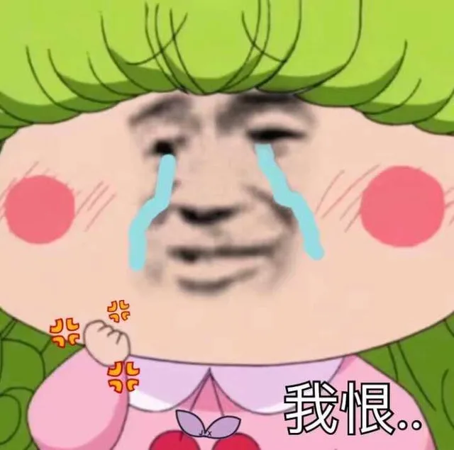 我恨（我恨）